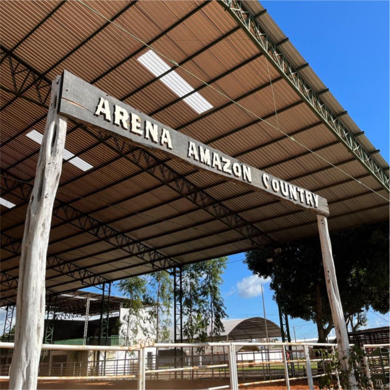 arena6